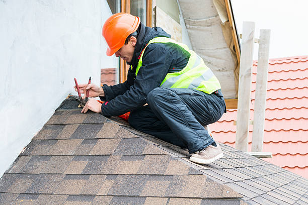 Best Roof Gutter Cleaning  in Sherwood, OH